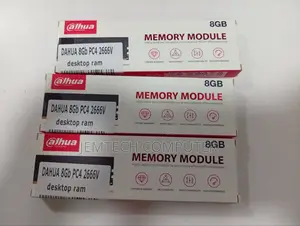 Dahua 8gb Pc4 2666v Desktop Ram-Dhi-DDR-C300u8g26
