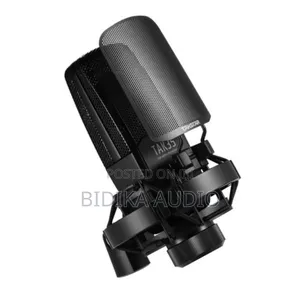 Takstar Tak35 Professional Recording Microphone Condenser