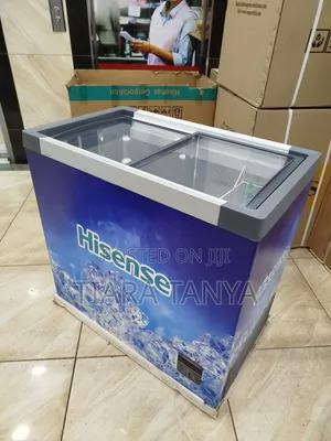 Hisense 297 Liters Fc297sh Dual Chest Freezer