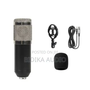 Bm800 Condenser Microphone Recording Stand Large Diaphragm