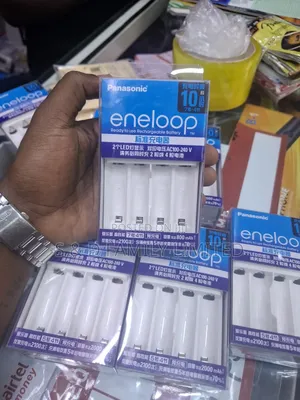 Panasonic Eneloop Charger