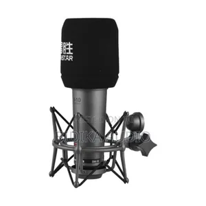 Takstar Sm-10 Unidirectional Recording Microphone Metal