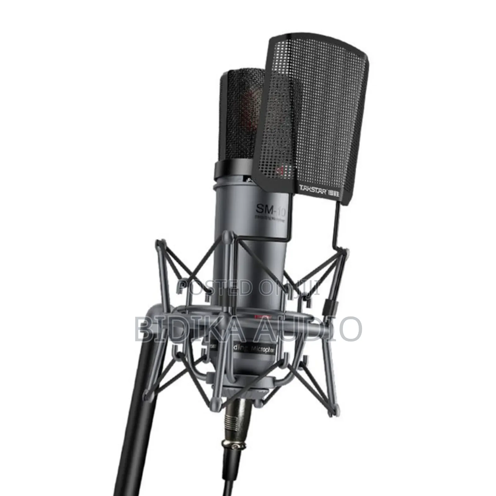 Quality Takstar Sm-10 Condenser Microphone