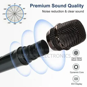 Wireless Microphone 2 Channels Uhf
