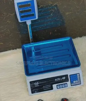 40 KGS - Digital Computing Weighing Scale With Arm