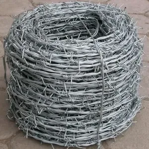 Galvanized Barbed Wire
