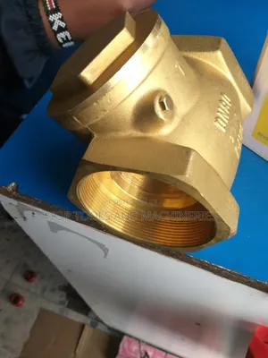 21⁄2 Inch Non Return Valve (Italy) Heavy Duty