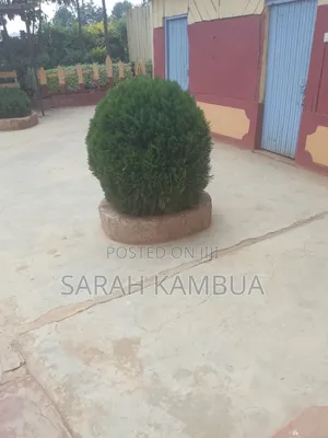 Adminatrative Assistant