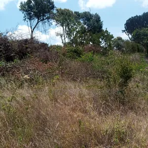 Kilibasi 25km Off Mombasa Road