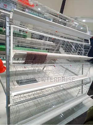 Chicken Cage 128 Birds