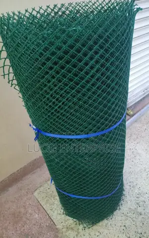 Plastic Wire Mesh /Chicken Wire Mesh