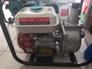 Delan Petrol Pump 6.5 Hp(2")