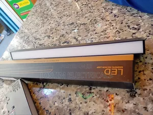 Dc48v Magnetic Flood Light