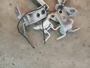 Ex Japan Prado 150 Door Hinges.