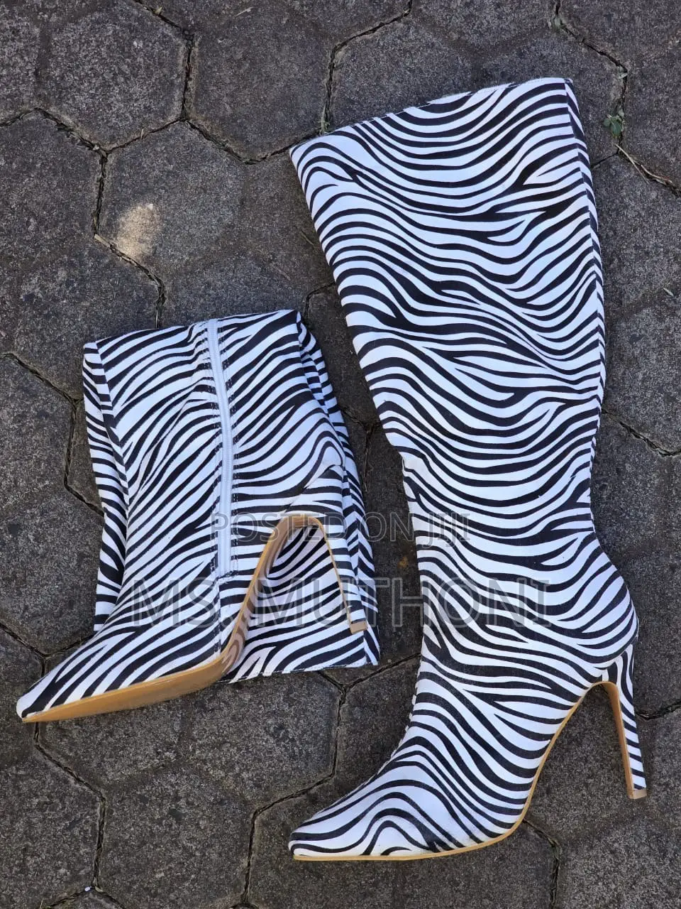 Donatella Zebra Stripes Pointed Toe Boots