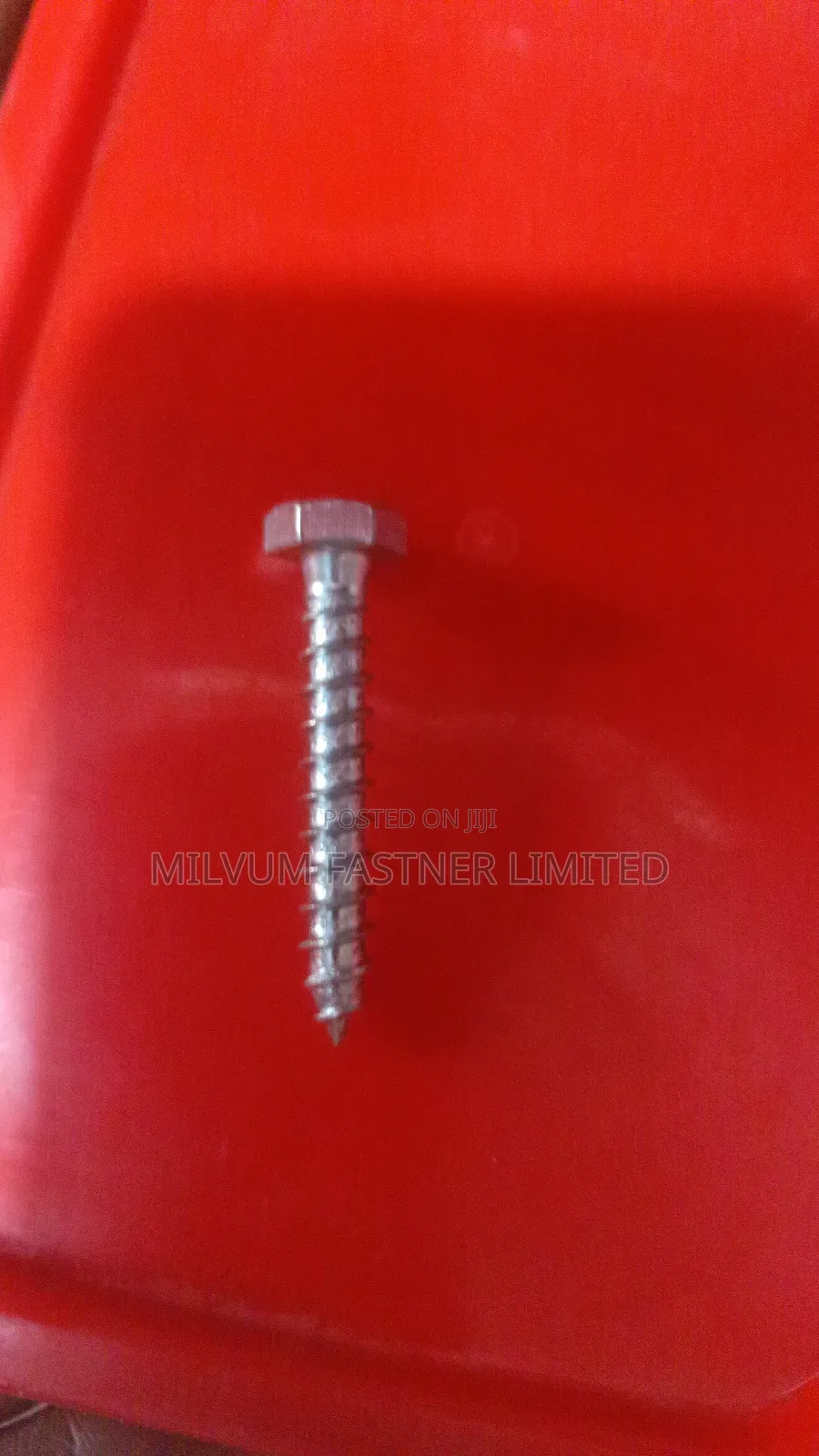 Galvanized Coach Screws