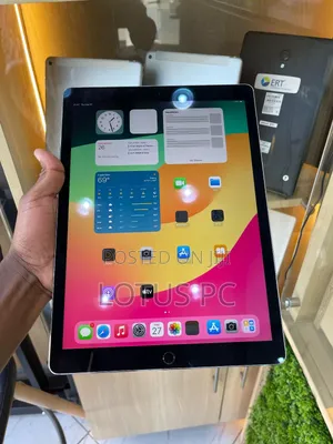 Apple iPad Pro 256 GB Gray