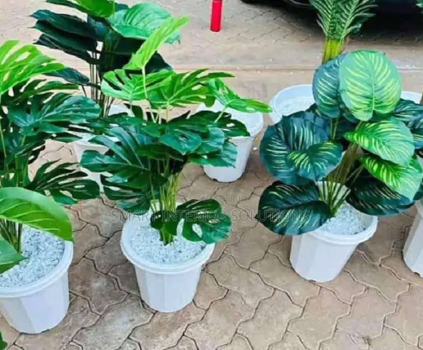 Artificial Decor Plants