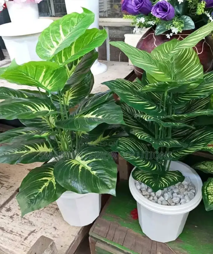 Artificial Plant/Flower