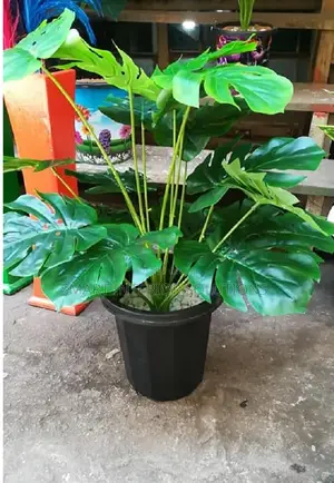 Decorative Artificial Plant/Flower