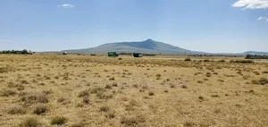 Land Touching Tarmac Along Naivasha Maaimahiu ,3acres.