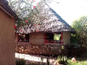 Makuti Suppliers and Roofing Experts