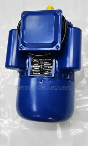 2 Hp Electric High Speed Motor