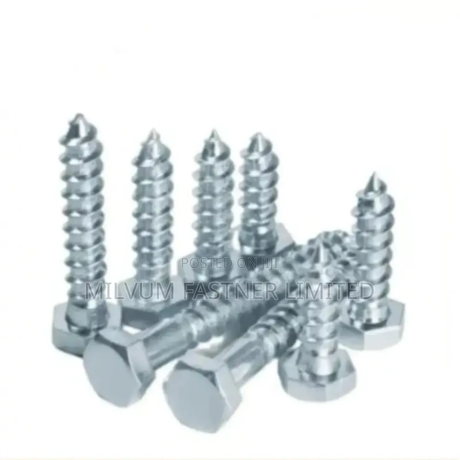 Galvanized Coach Screws