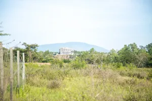 Thika, Munyu 50x100 Plots.