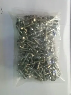 Mirror Screws