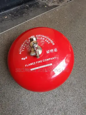 A 6kg Automatic Fire Extinguisher