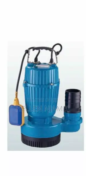 Sewage Pump