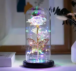 Led Rose Light With Butterfly + Led Strings*
