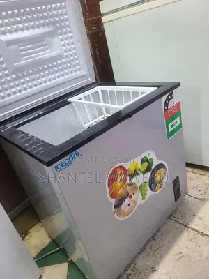 Deep Freezer 60 Litres Silver