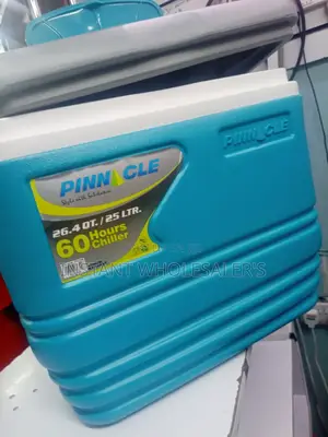 Adequate Pinnacle 25 Litres Cooler Box