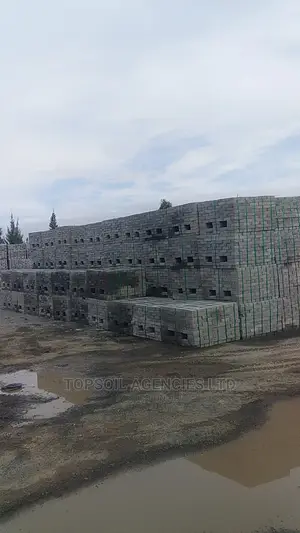 CABRO Paving Blocks/Pavement Blocks for Sale (Limited Offer)