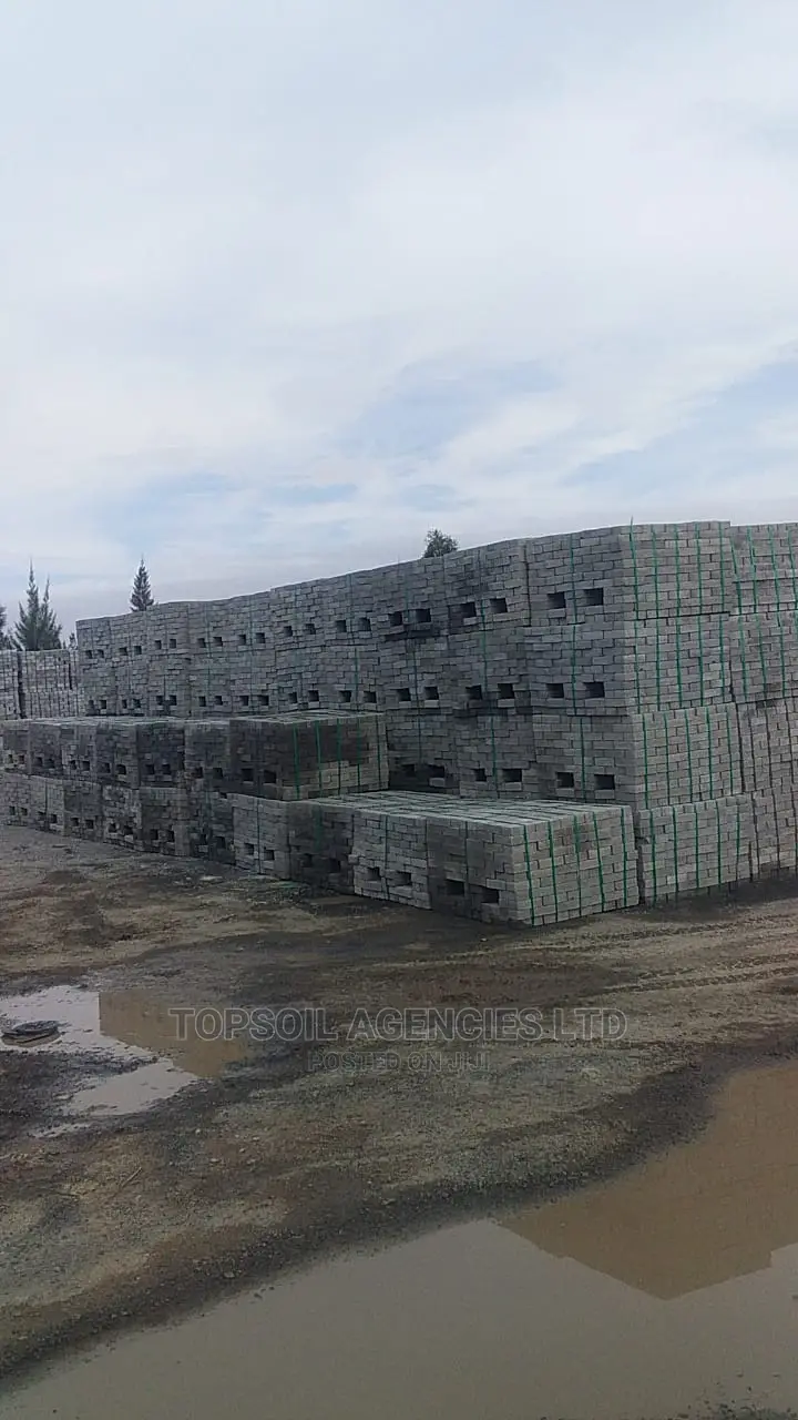 CABRO Paving Blocks/Pavement Blocks for Sale (Limited Offer)