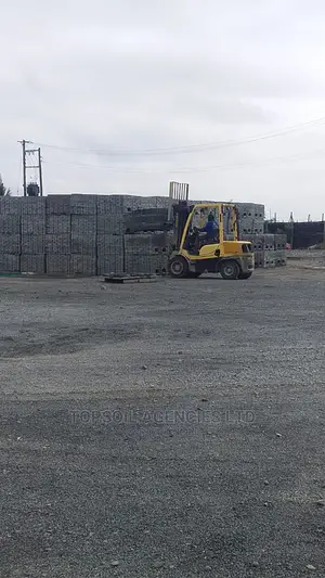 CABRO Paving Blocks/Pavement Blocks for Sale (Limited Offer)