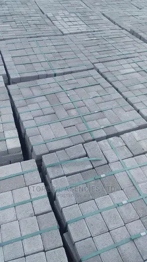 CABRO Paving Blocks/Pavement Blocks for Sale (Limited Offer)