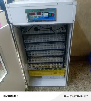 Eggs Incubator, 528 Eggs Incubator