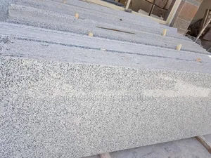 Bianco Hayaleb Polished Granire Slabs