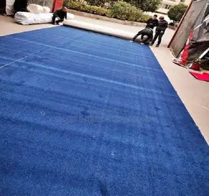 Wall-to-Wall Blue Delta Carpet