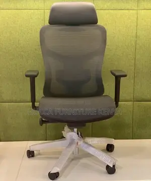 Office Chairs: Ergonomic Mesh Chair Reclining Back Mesh