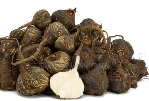 Black Maca Extract – Powder Tablets. 250g.