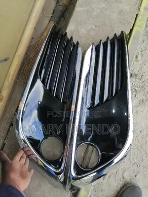 Foglight Cover Auris