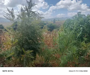 2 Acres Land Behind A&L Hotel, Machakos
