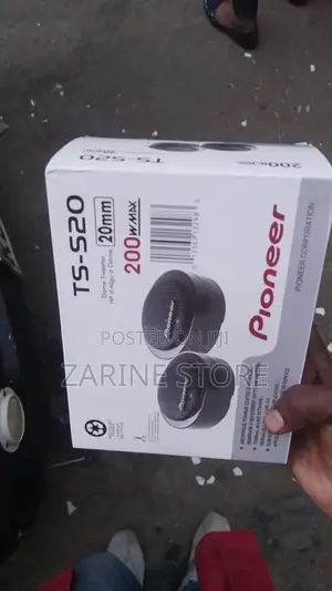Rechargeable Pioneer Portable Speaker