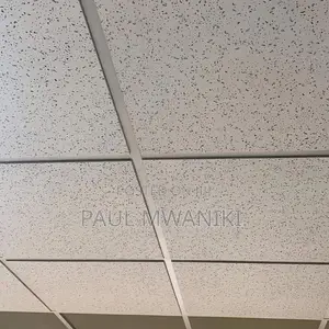 Acoustic Ceiling- 600mm *600mm