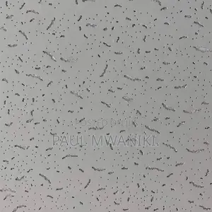 Acoustic Ceiling- 600mm *600mm