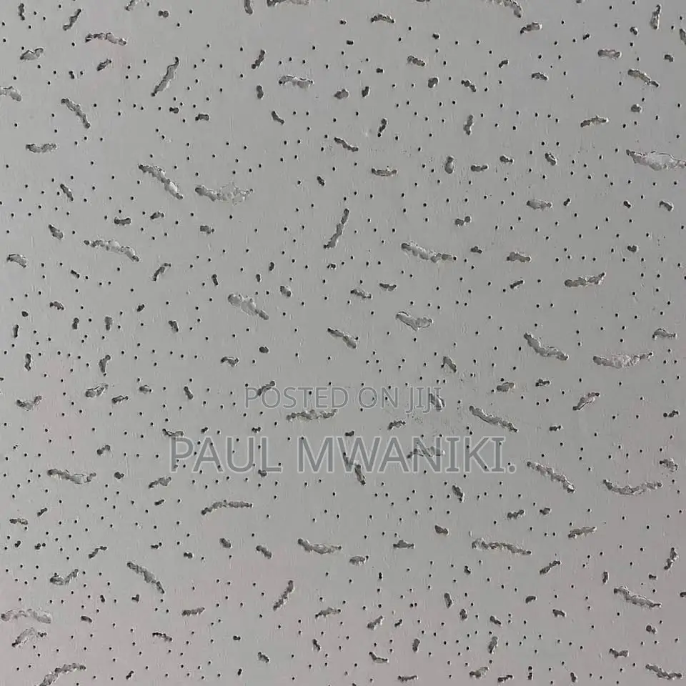 Acoustic Ceiling- 600mm *600mm
